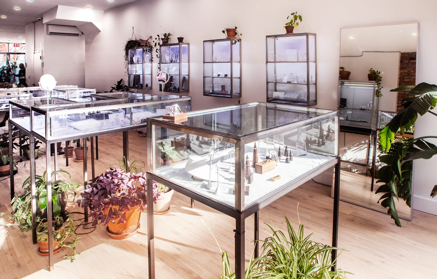 Our Williamsburg, Brooklyn gallery showcasing our jewelry cases in the sunlight amongst many plants.