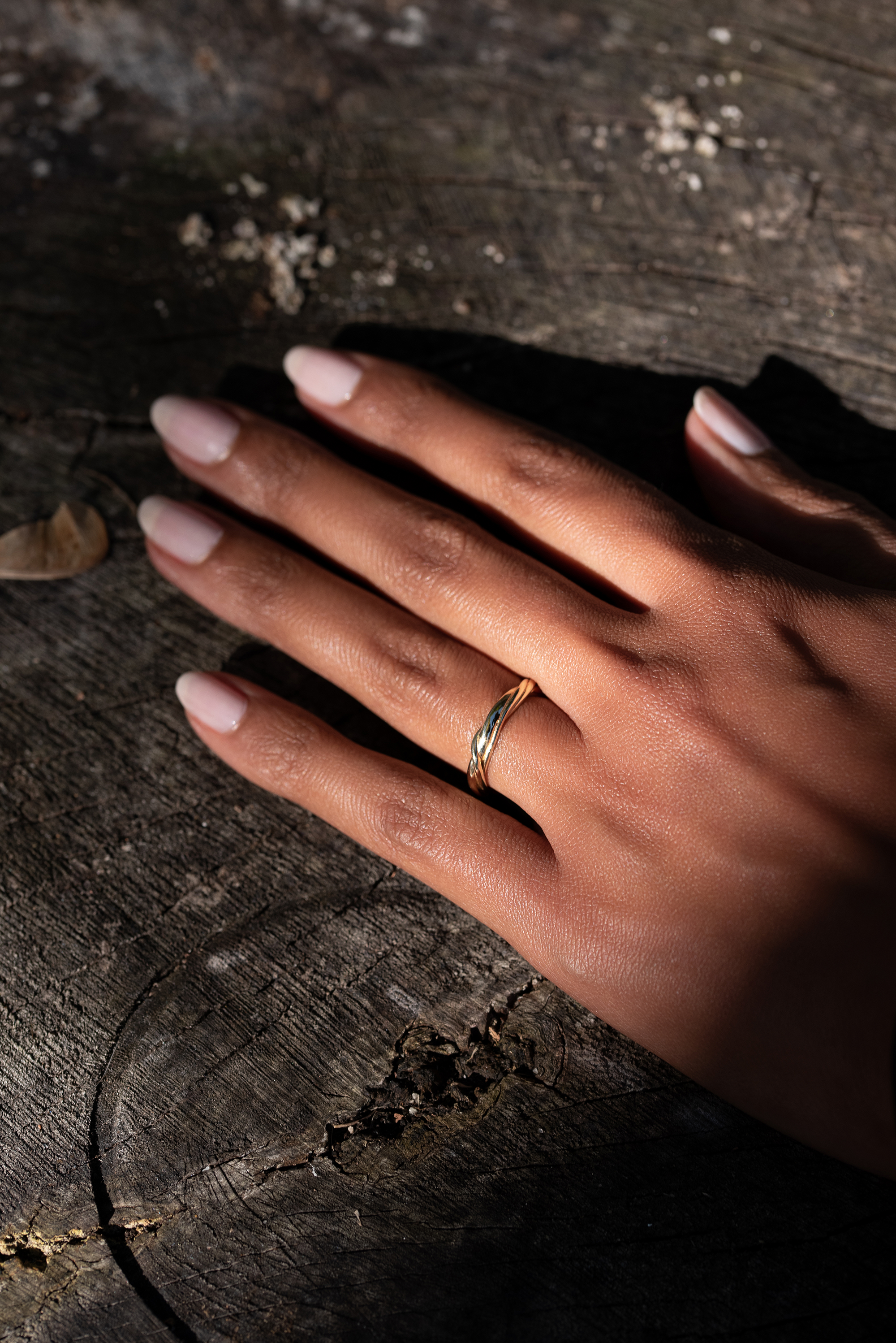 Aragon / Ring By Alfonzo