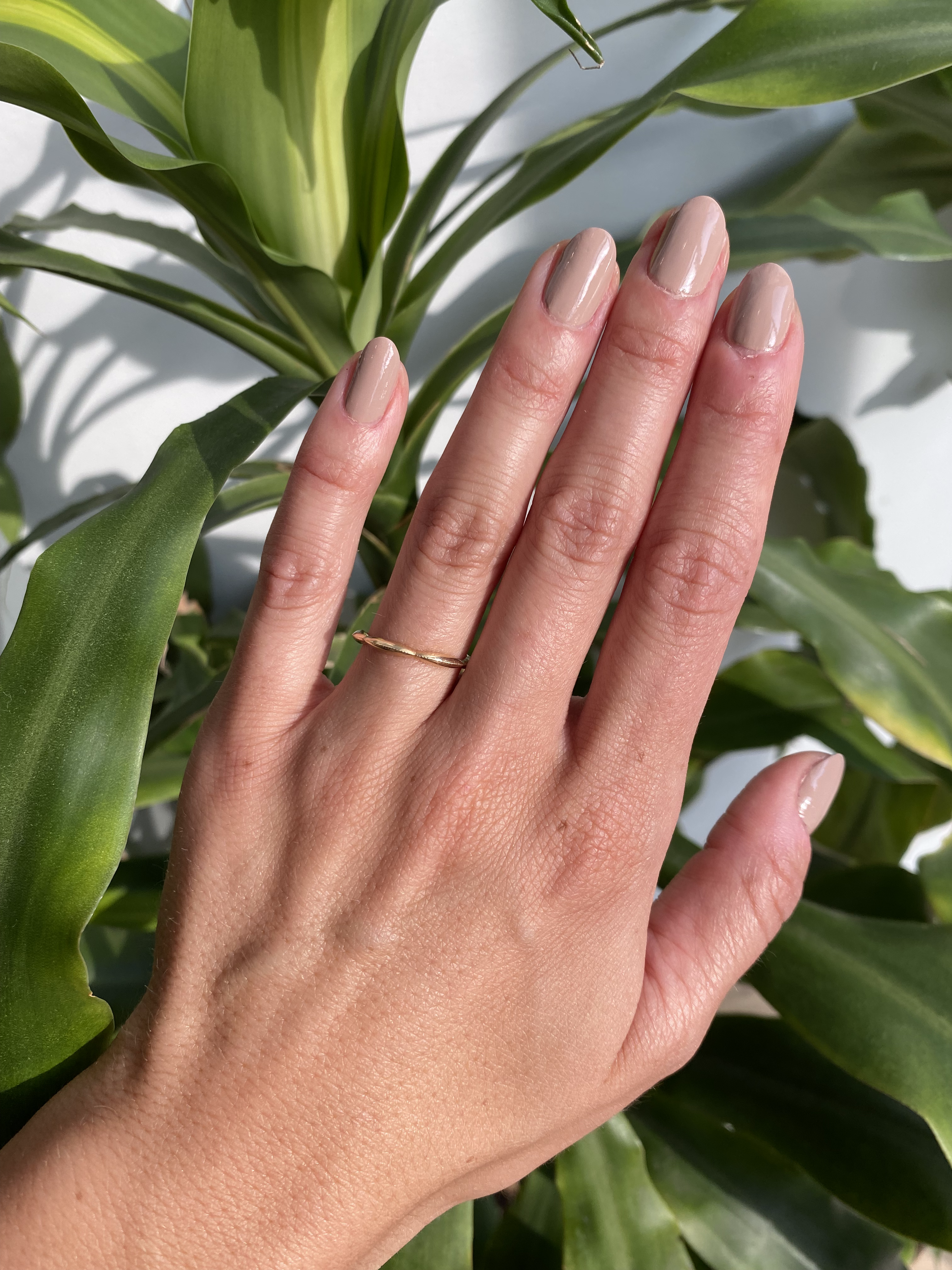 Romantic Array / Scallop Band By Ruoria