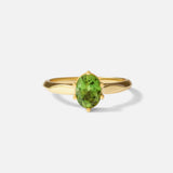 Front view of Leigh / Oval Sapphire Ring