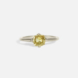 Front view of Meg / Champagne Brown Fancy Cut Diamond Ring by Hiroyo