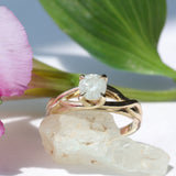 Twist Solitaire Ring By Kestrel Dillon