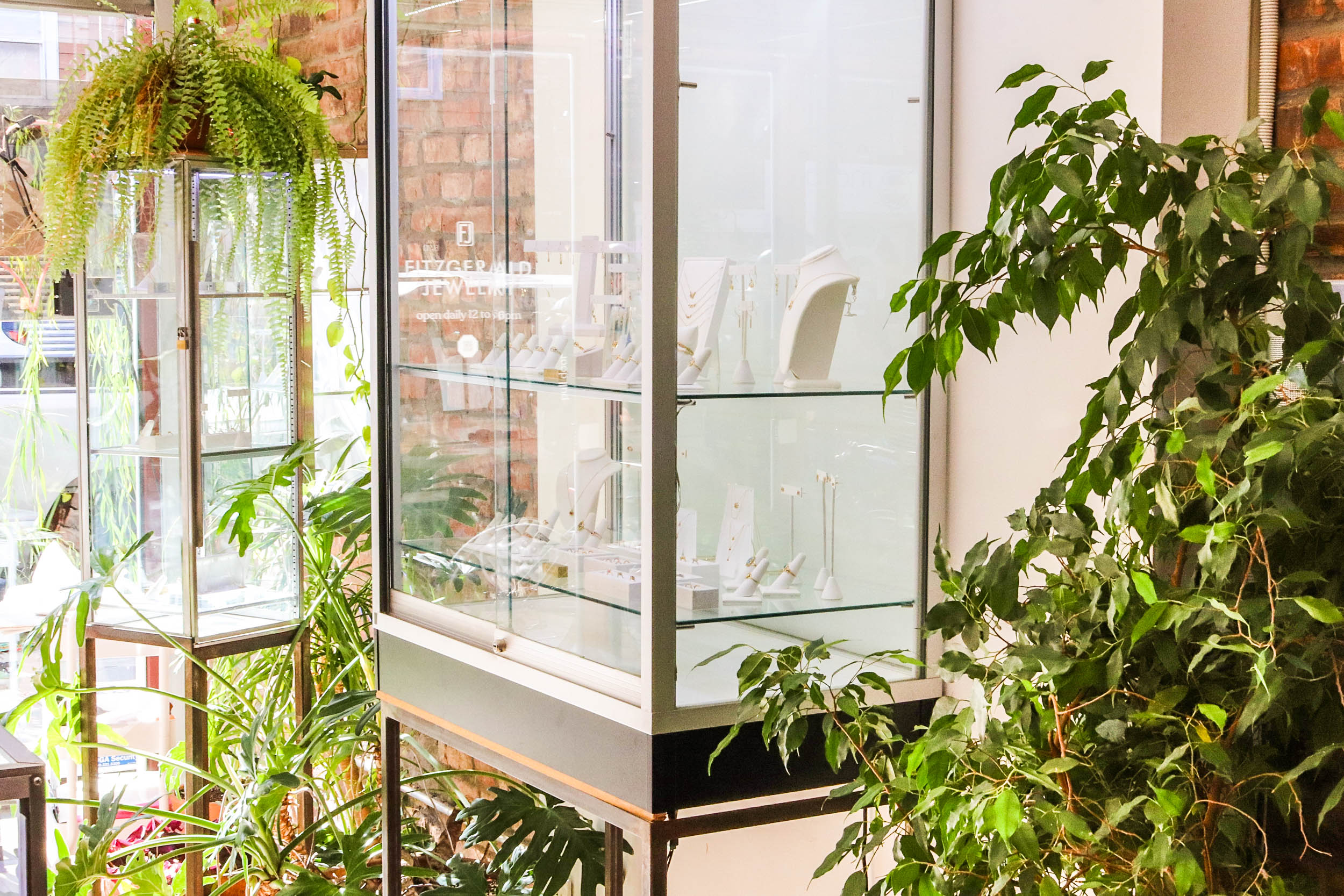 Artistic shot of some of our jewelry cases and plants at our Williamsburg studio