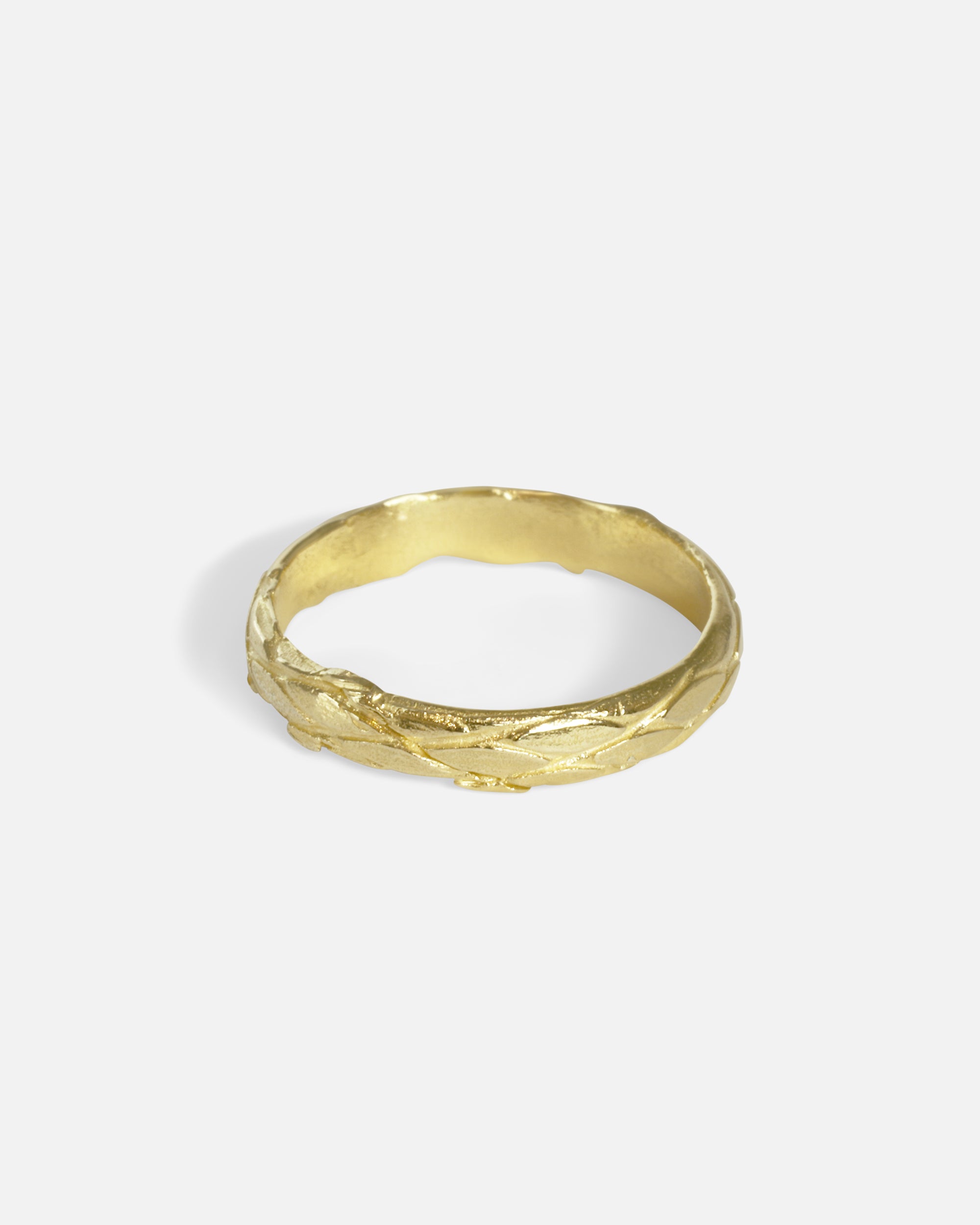 Side view of Small Scales Band by Ides