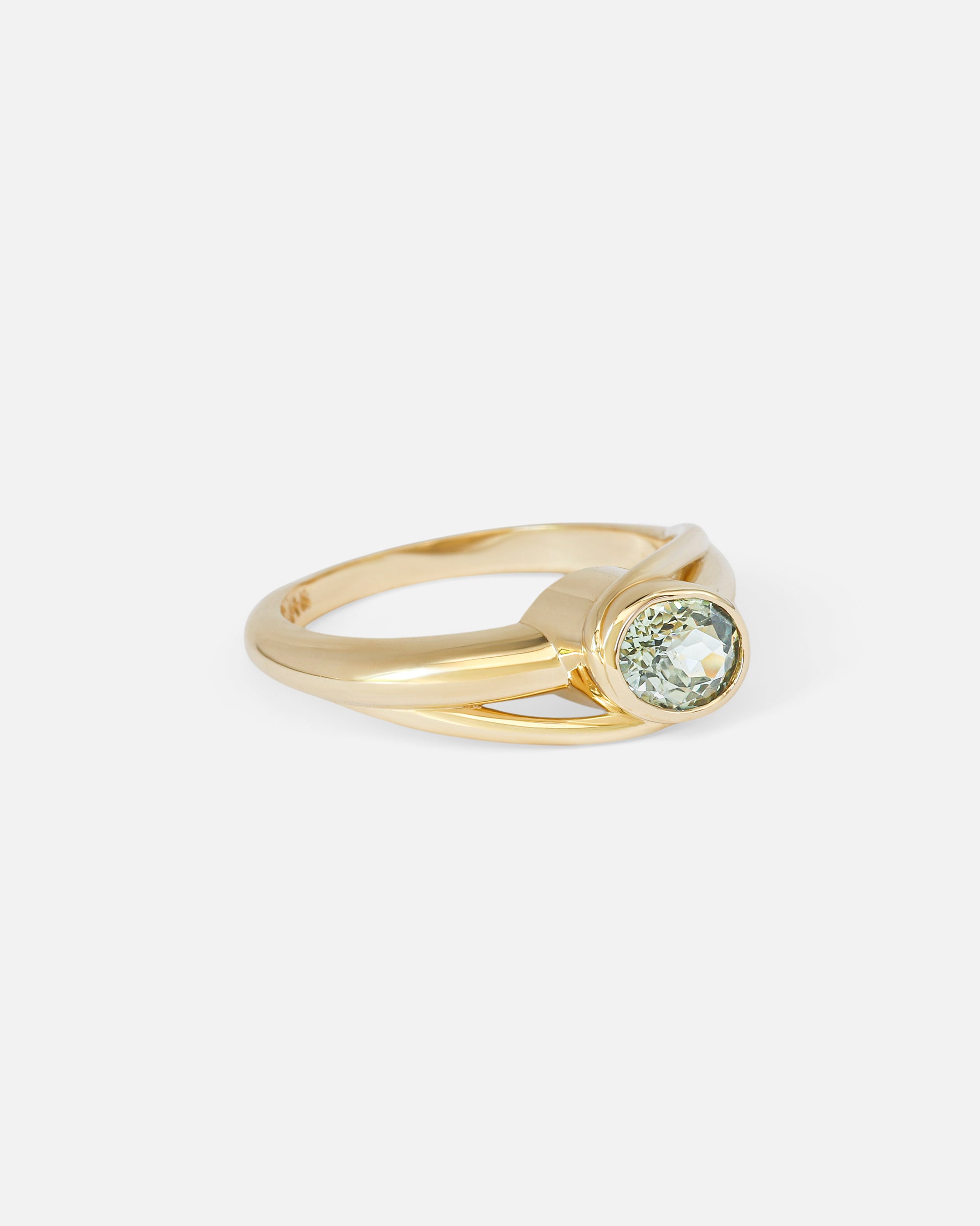 Side view of Genome Ring by Lucia B Marti
