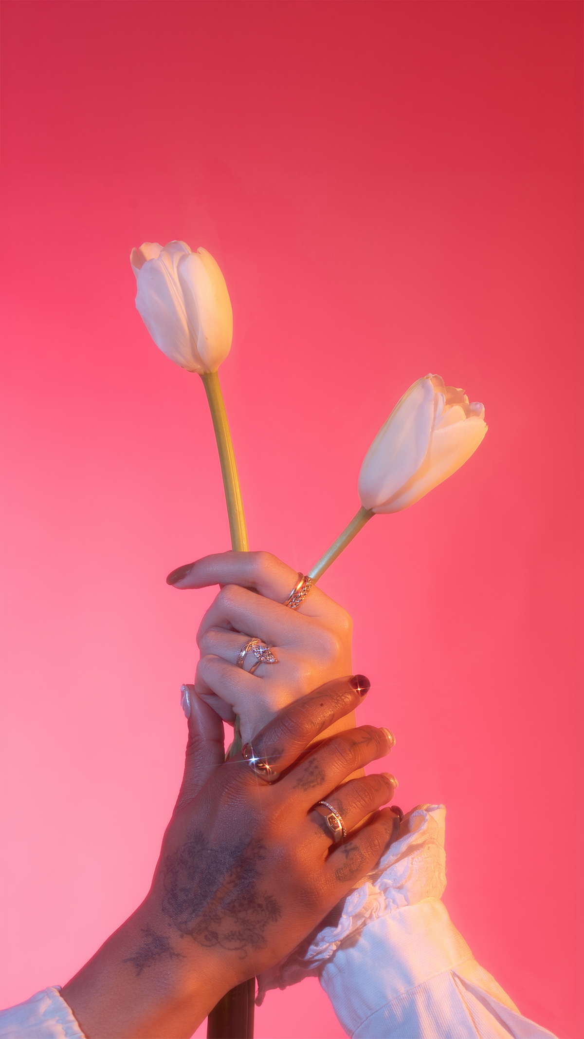 Two models holding hands with stacks of fine jewelry on fingers with two white tulips against a pink background