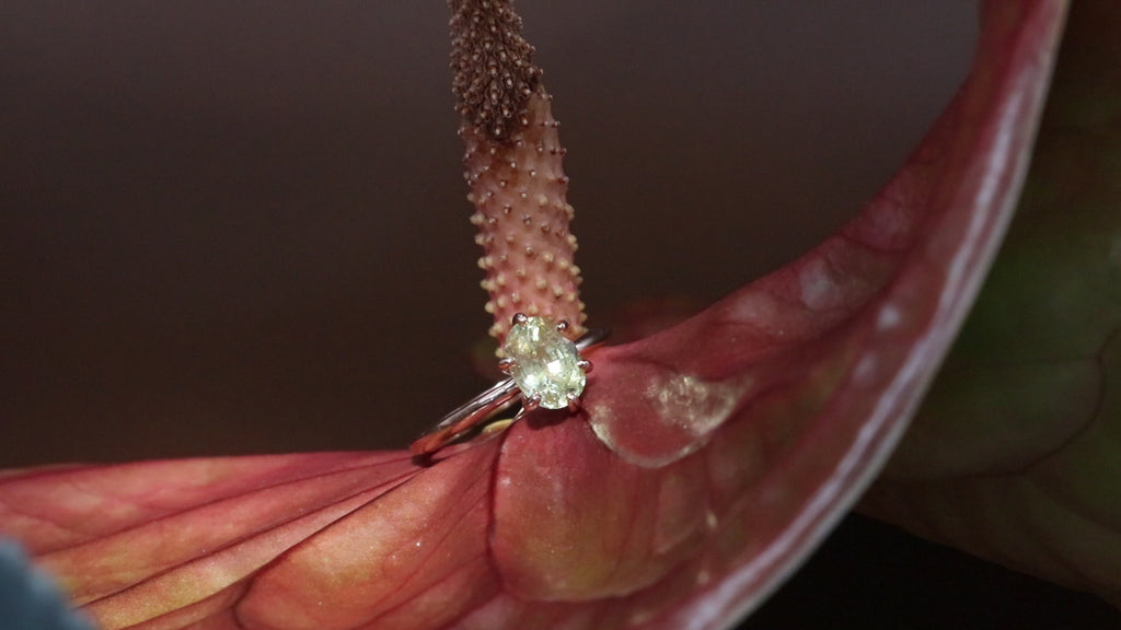Lifestyle shot of Front view of Lara / Crysoberyl Ring on a flower with light reflecting off of stone