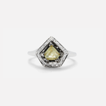 Geo Halo / 0.70ct By Hiroyo