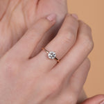 Wei / 6-Prong White Round By fitzgerald jewelry