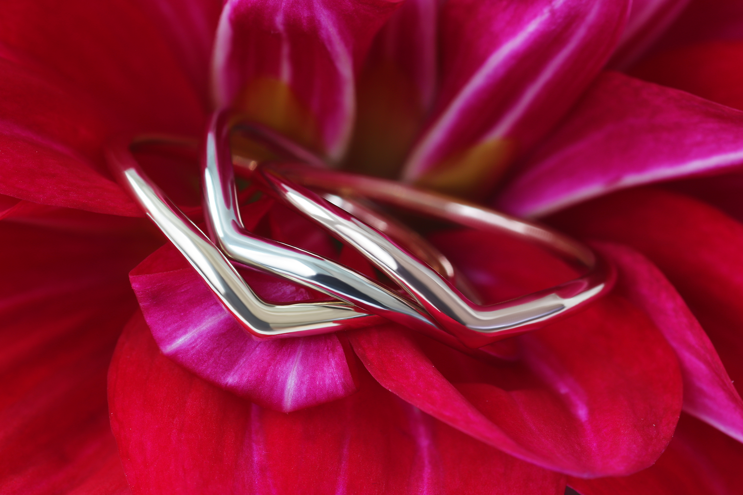 Archer / Ring By Katrina La Penne in rings Category