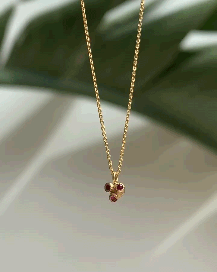 Melee 34B / Ruby Pendant By Hiroyo