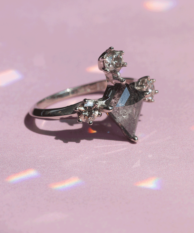 Kyte / Salt + Pepper Diamond Ring By fitzgerald jewelry